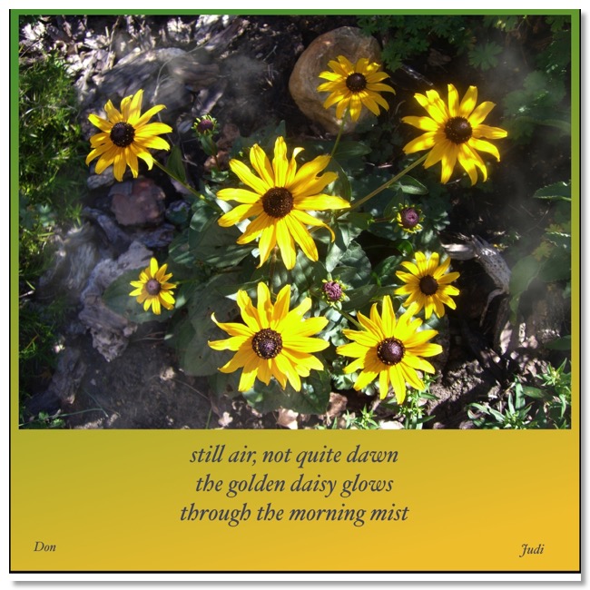 Daisy Mist summer haiga by Gingezel